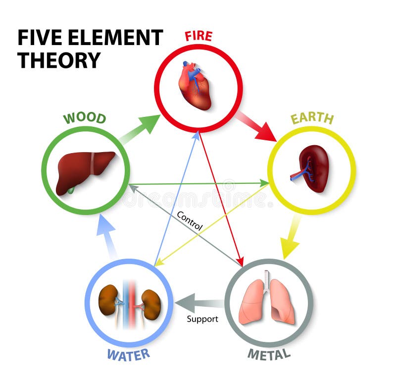 Diagrama dos Cinco Elementos